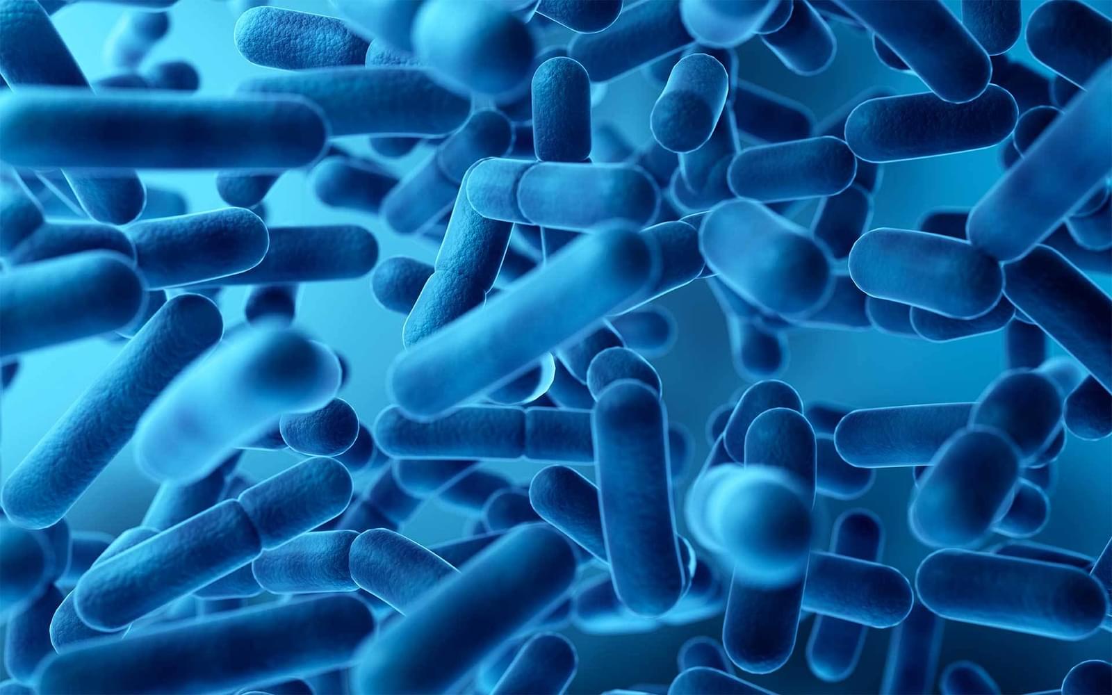 Atemwegsinfektionen, die durch Bakterien verursacht werden Aidian