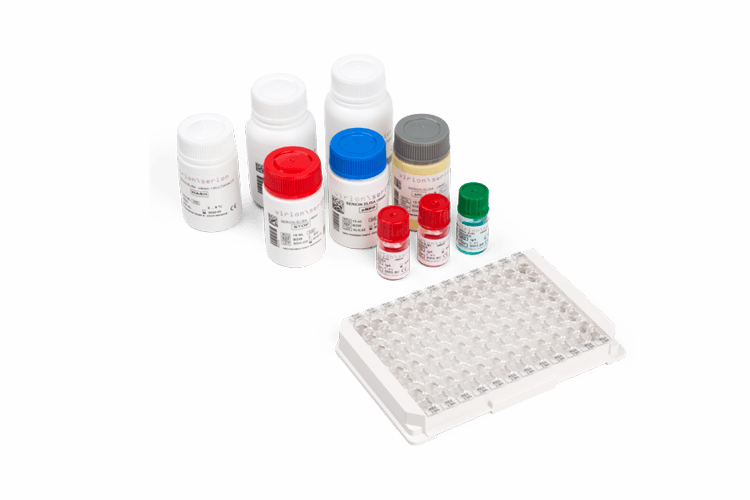 Elisa Bacteriologie Virion Serion Elisa Bacteriologie Virion Serion