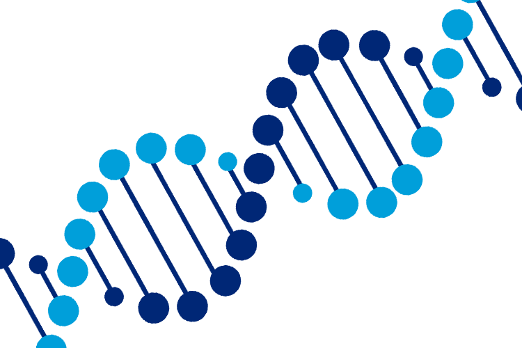 DNA DNA